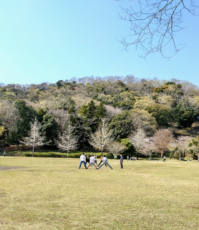 ファイル 390-2.jpg