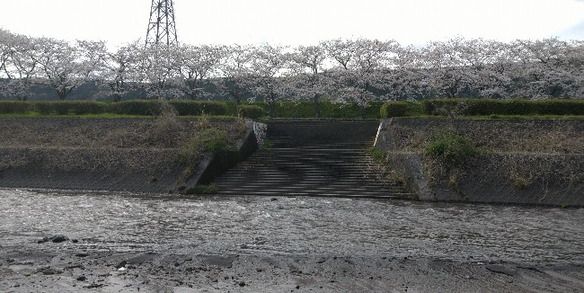 ファイル 403-1.jpg
