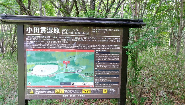 ファイル 517-1.jpg